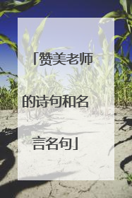 赞美老师的诗句和名言名句