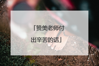 赞美老师付出辛苦的话