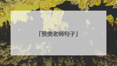 赞美老师句子