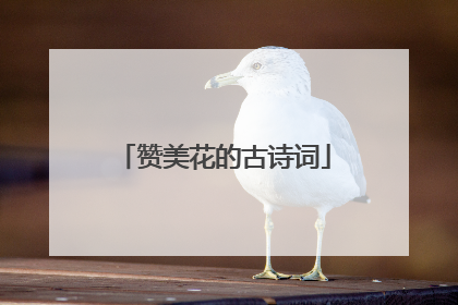 赞美花的古诗词