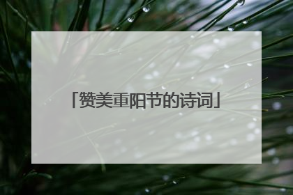 赞美重阳节的诗词