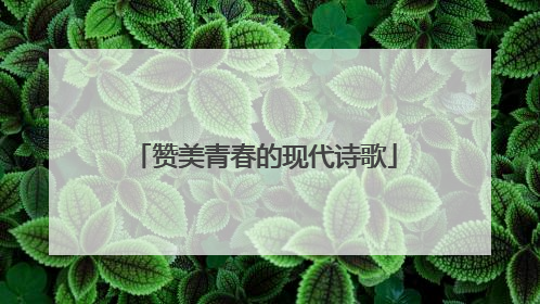 赞美青春的现代诗歌