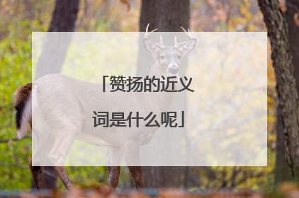 赞扬的近义词是什么呢