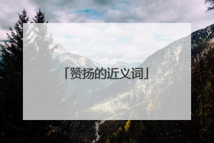 赞扬的近义词