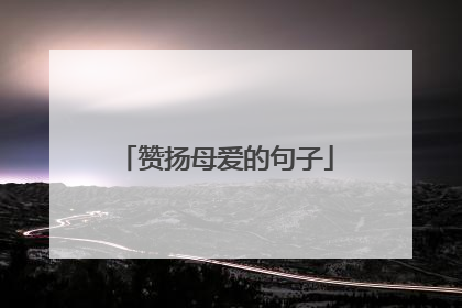 赞扬母爱的句子