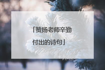 赞扬老师辛勤付出的诗句