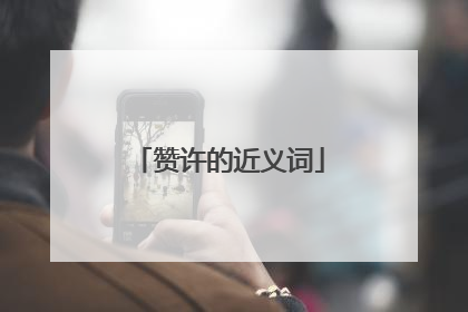赞许的近义词