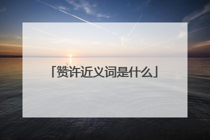 赞许近义词是什么