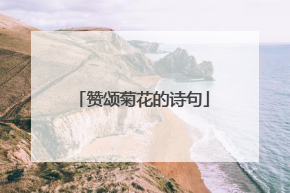 赞颂菊花的诗句