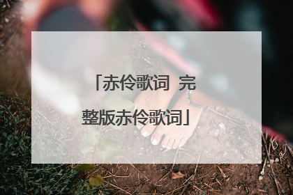 赤伶歌词 完整版赤伶歌词