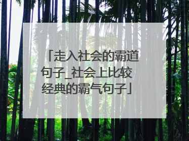 走入社会的霸道句子_社会上比较经典的霸气句子
