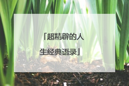 超精辟的人生经典语录