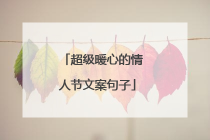 超级暖心的情人节文案句子