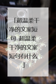 超温柔干净的文案短句 超温柔干净的文案短句有什么