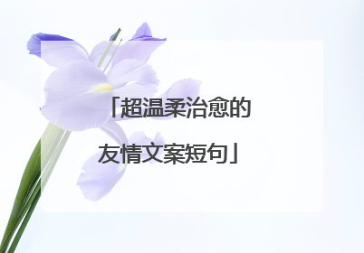 超温柔治愈的友情文案短句