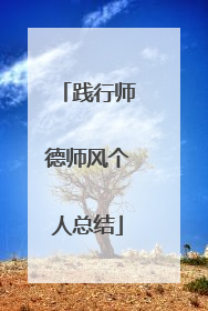 践行师德师风个人总结