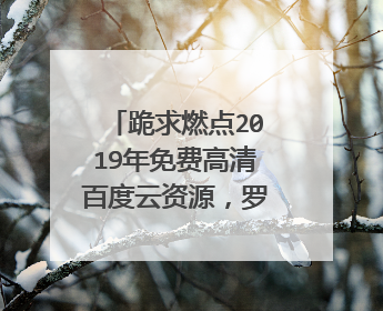 跪求燃点2019年免费高清百度云资源，罗永浩主演的