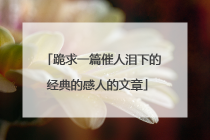 跪求一篇催人泪下的经典的感人的文章