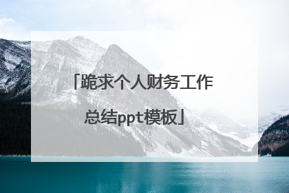 跪求个人财务工作总结ppt模板