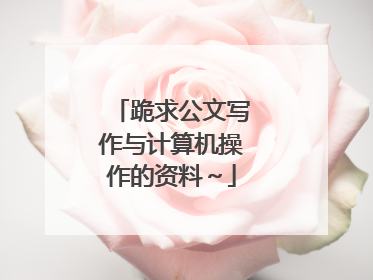 跪求公文写作与计算机操作的资料～