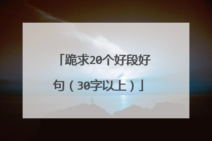 跪求20个好段好句（30字以上）
