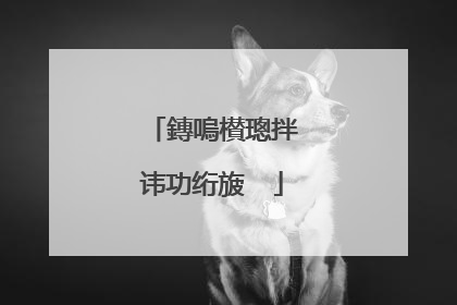 鏄嗚櫕璁拌�讳功绗旇��