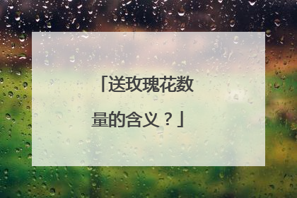 送玫瑰花数量的含义？