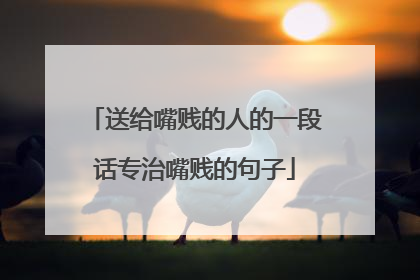 送给嘴贱的人的一段话专治嘴贱的句子
