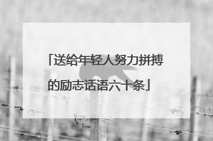 送给年轻人努力拼搏的励志话语六十条