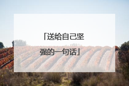 送给自己坚强的一句话