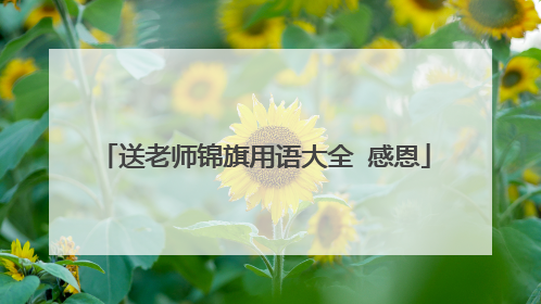 送老师锦旗用语大全 感恩