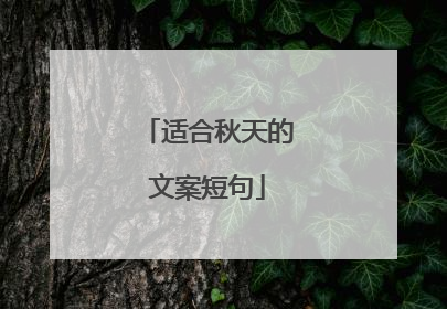 适合秋天的文案短句
