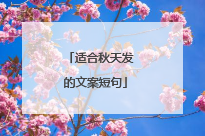 适合秋天发的文案短句