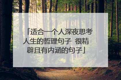 适合一个人深夜思考人生的哲理句子 很精辟且有内涵的句子