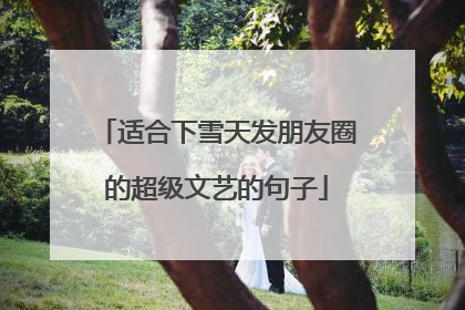 适合下雪天发朋友圈的超级文艺的句子