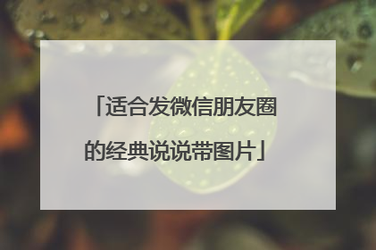 适合发微信朋友圈的经典说说带图片