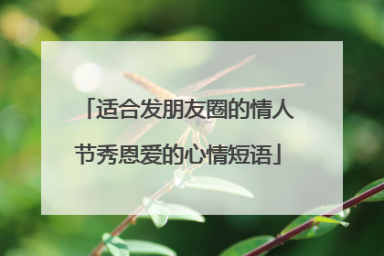 适合发朋友圈的情人节秀恩爱的心情短语