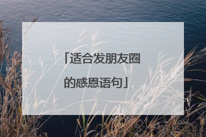 适合发朋友圈的感恩语句
