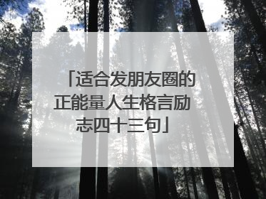 适合发朋友圈的正能量人生格言励志四十三句