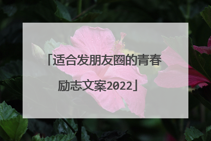 适合发朋友圈的青春励志文案2022