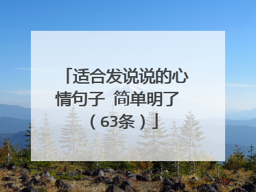 适合发说说的心情句子 简单明了(63条)