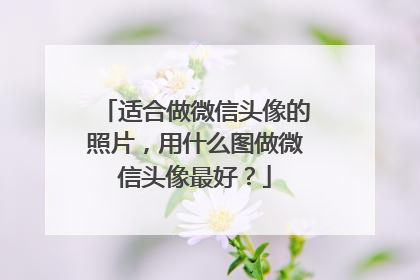 适合做微信头像的照片,用什么图做微信头像最好?