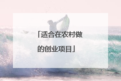 适合在农村做的创业项目