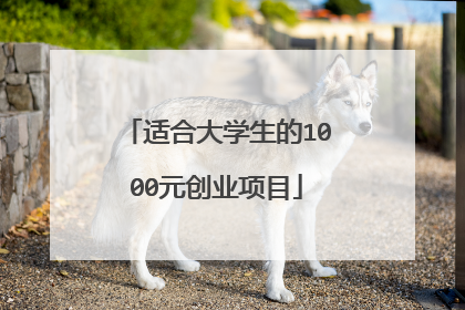适合大学生的1000元创业项目