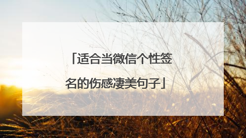 适合当微信个性签名的伤感凄美句子