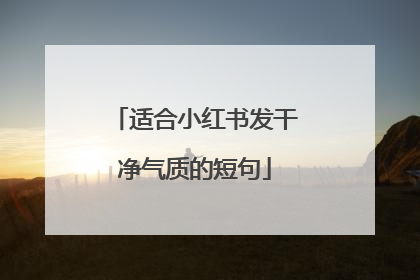 适合小红书发干净气质的短句