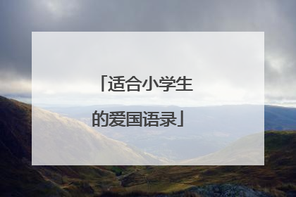 适合小学生的爱国语录