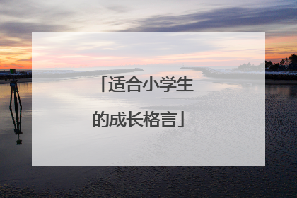 适合小学生的成长格言