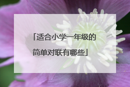 适合小学一年级的简单对联有哪些