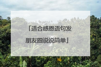 适合感恩语句发朋友圈说说简单